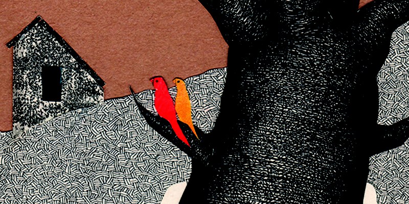 Caiman und Drache Caiman und Drache