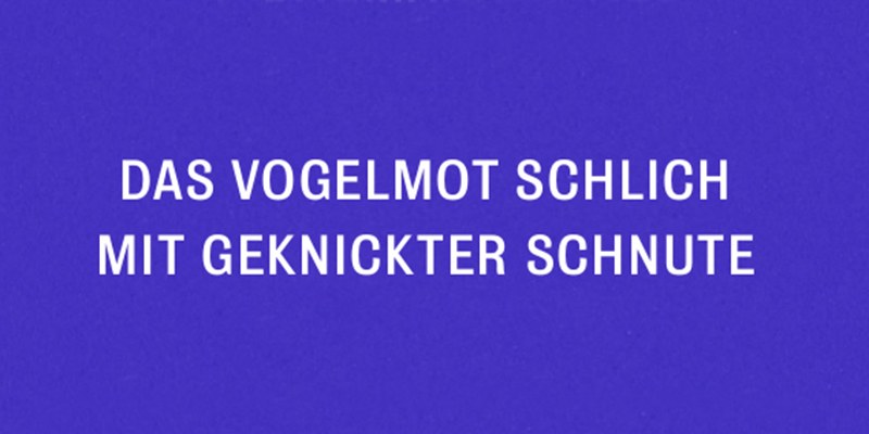 das vogelmot schlich mit geknickter schnute. zweiundzwanzig elfzeiler das vogelmot schlich mit geknickter schnute. zweiundzwanzig elfzeiler